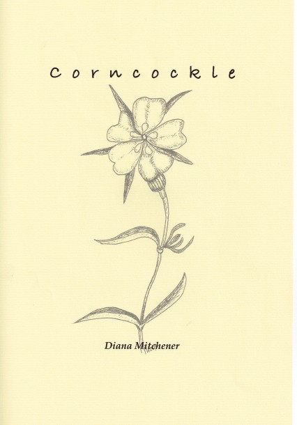 Corncockle